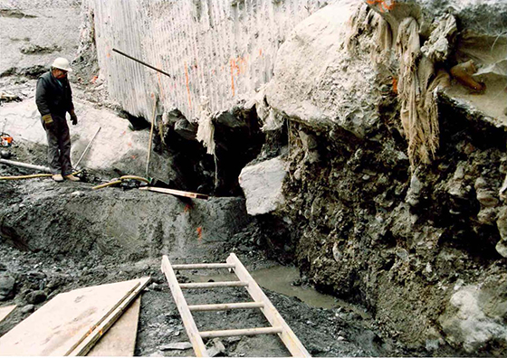 Site Development